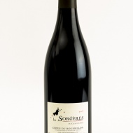 LES SORCIERES DU CLOS DES FEES 2023  H.BIZEUL